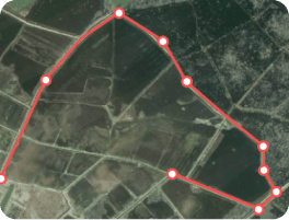 Location Pin